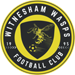 Witnesham Wasps FC